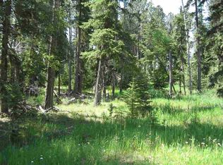 Lots 3 & 6 Blk 1 Deer Mountain Rd, Lead, SD 57754