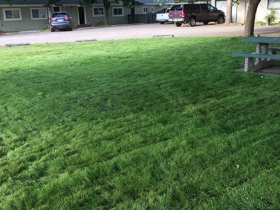 Lawn & 5 row units