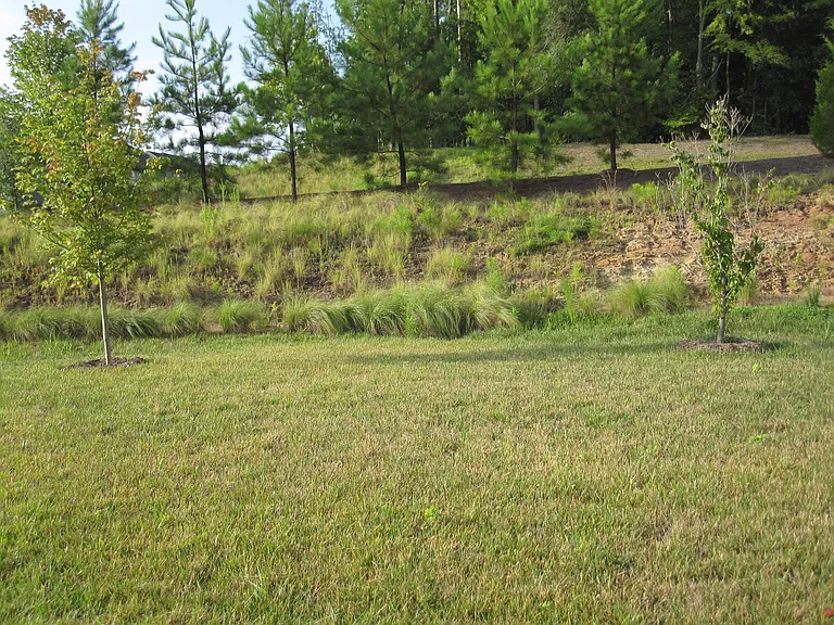 356 Euphoria Cir — Photo 12