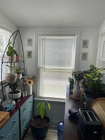 221 Sunset Rd photo 1