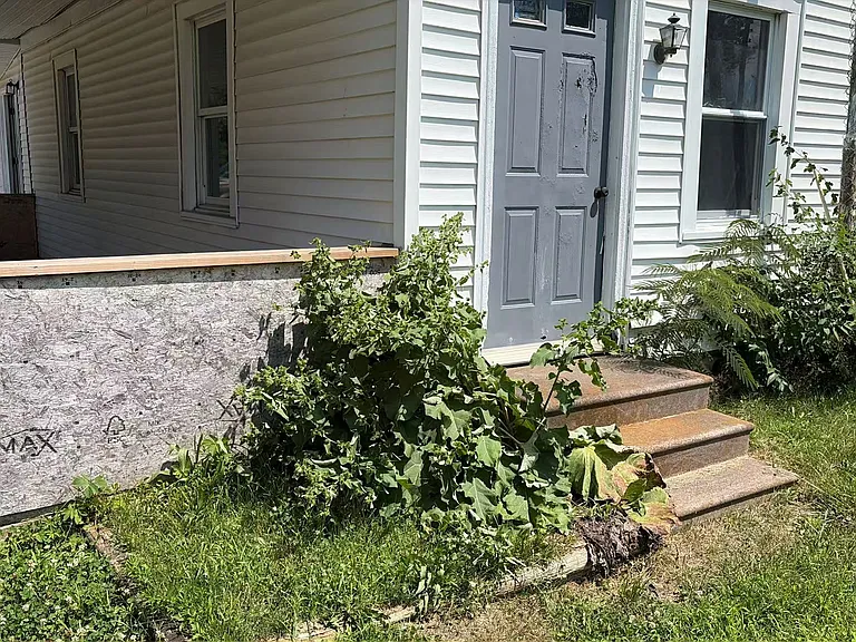 1204 Mayapple Ave — Photo 3
