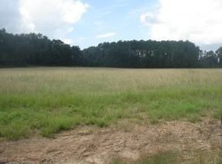 10254 NW 153 Ter, Alachua, FL 32615