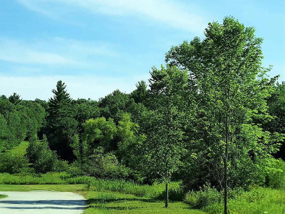 15.59 Acre Building Site