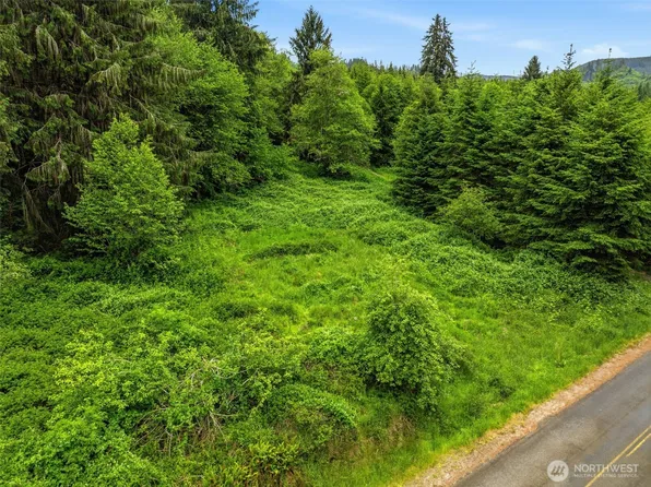 0 E Valley Road, Skamokawa, WA 98647