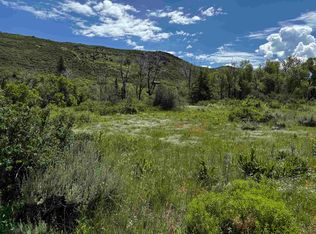 64921-64 6/10 Rd, Collbran, CO 81624