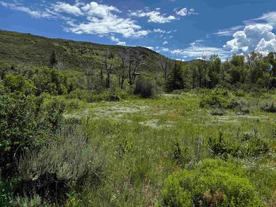 64921-64 6/10 Rd, Collbran, CO, 81624