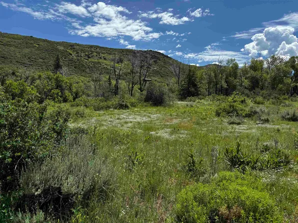 64921-64 6/10 Rd, Collbran, CO 81624