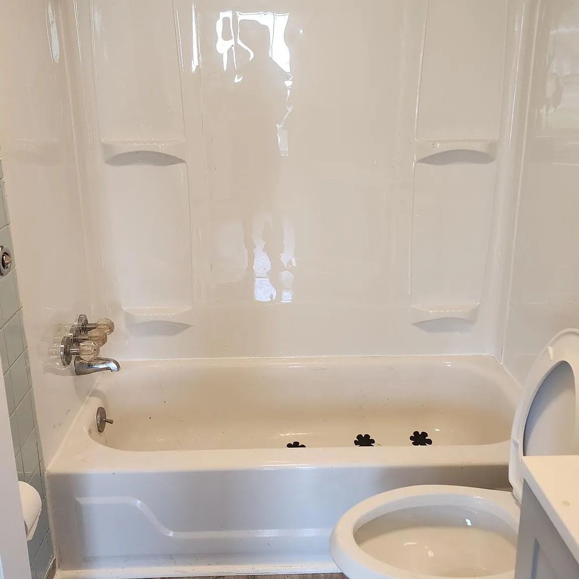 1 bed, 390 sqft, $1,095 — Photo 3