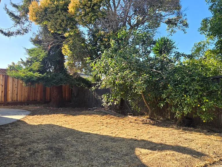 37788 Dahlia Dr — Photo 3