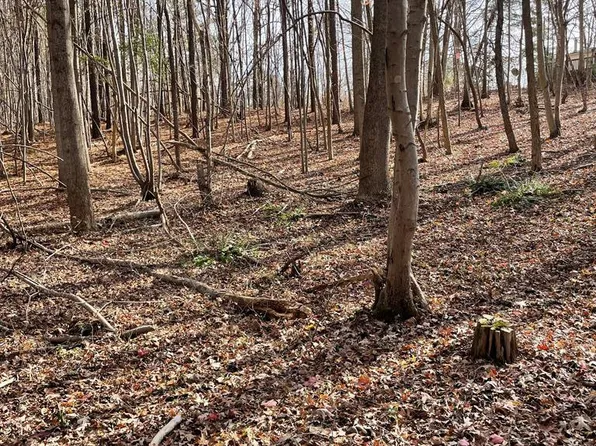 Acreage Mount Ararat Rd, Clarksville, VA 23927