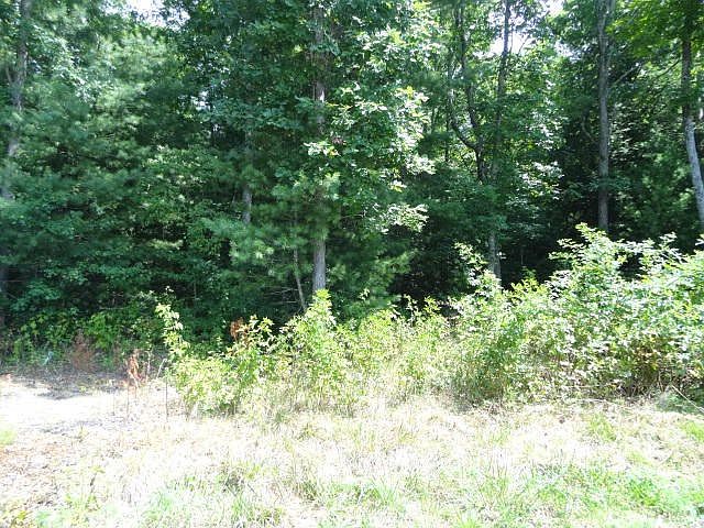 1st image of 117 Creek View Dr