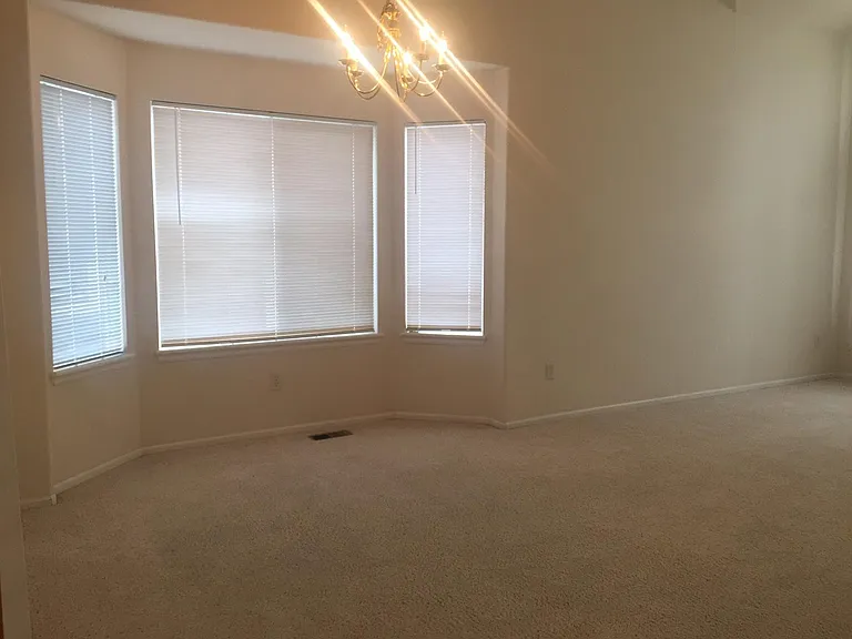 923 Grays Peak Dr — Photo 13