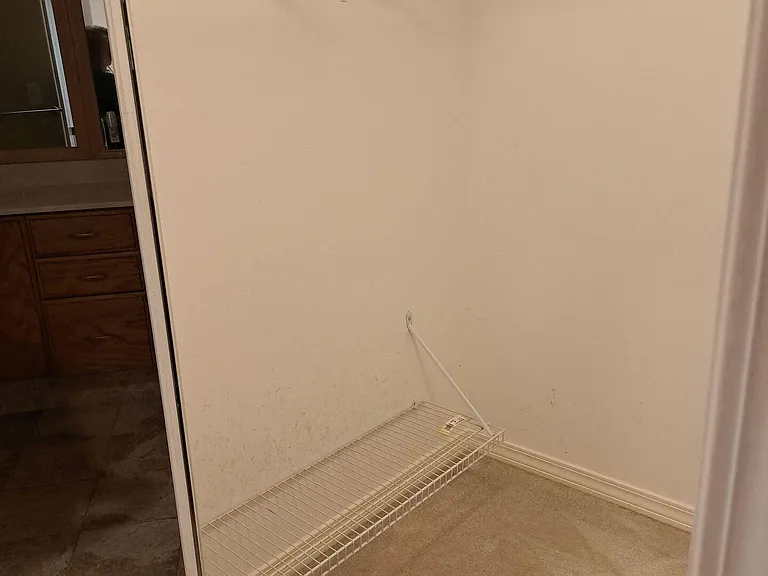3413 Jasmine Trace Ln — Photo 41
