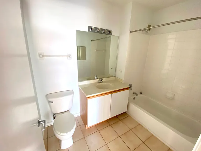 600 N Dearborn St #811 — Photo 12