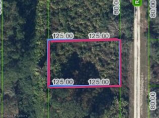 519 Rockefeller Ave, Lake Placid, FL 33852