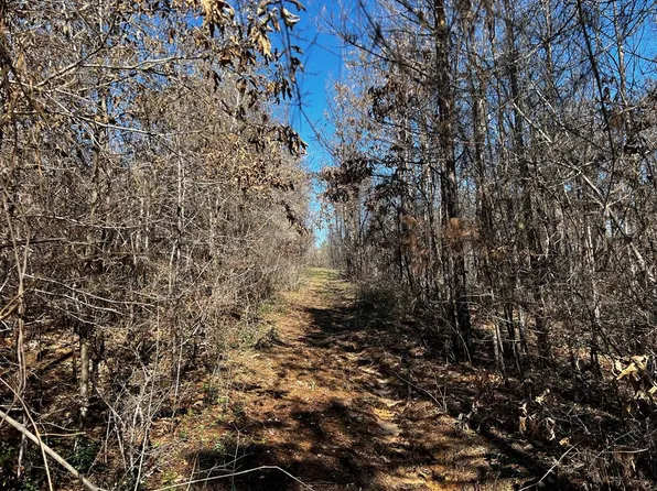 R63280 Pinegrove Rd, Corrigan, TX 75939