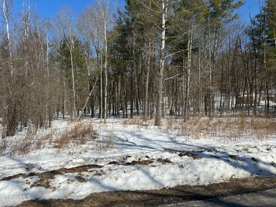 L27 Verda Avenue, Clarksville, NY, 12041