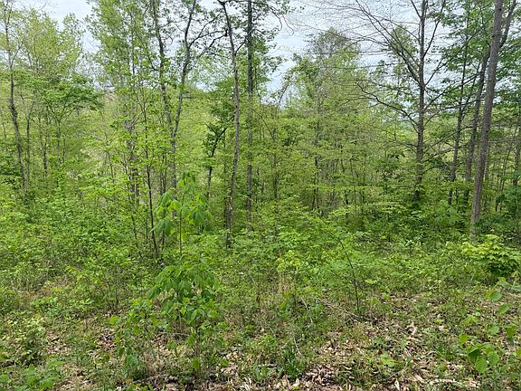 3rd image of 999 Big Cave Rd