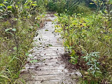 Property photo 40