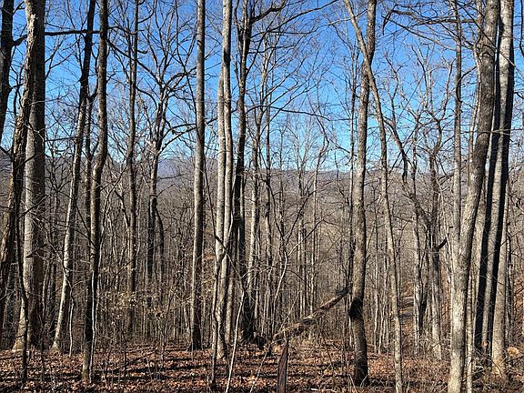2nd image of 0 Parker Farm Rd