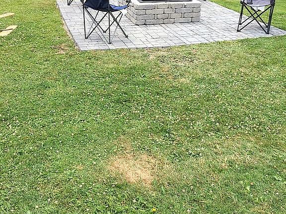 Backyard/fire pit 