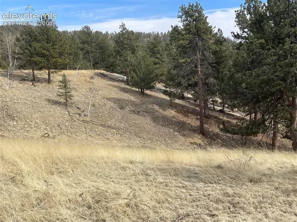 86 & 122 Junction Cir, Florissant, CO 80816