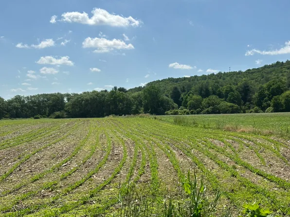 Summit Ave Lot Wp009, Cuba, NY 14727