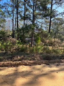 0 Bent Tree Cir, Douglas, GA, 31535