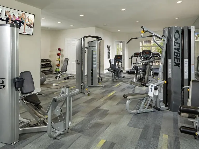 Camden Royal Palms — Photo 17