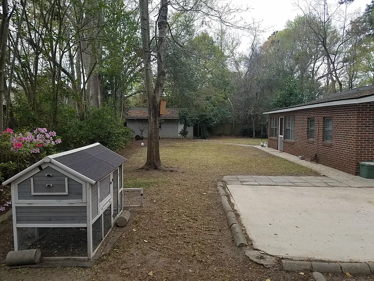 Big back yard with garage.