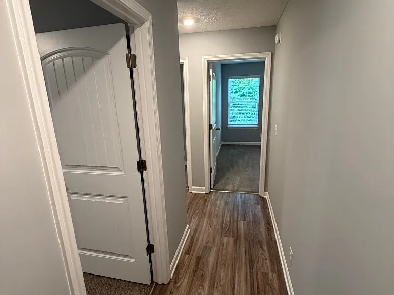 4223 Brogli Dr — Photo 9