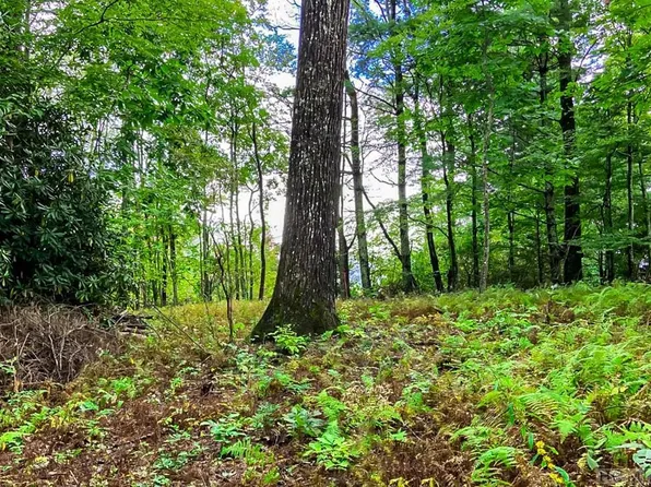 LT Five Old Cabin Rd, Highlands, NC 28717