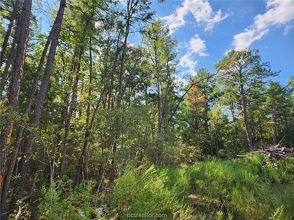 3rd image of LOT 24 Hackberry Dr