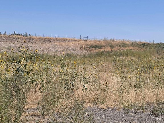 3rd image of Indian Hot Spgs