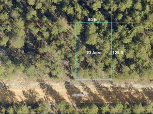 22 Arbour St, Defuniak Springs, FL 32433