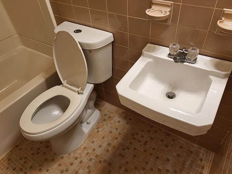 Toilet and sink