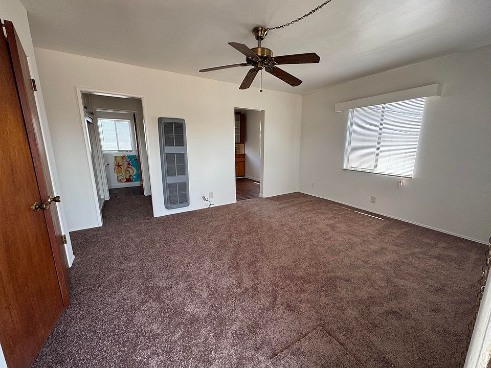 Main studio room with ceiling fan, 2 windows, new carpet, wall heater, and closet