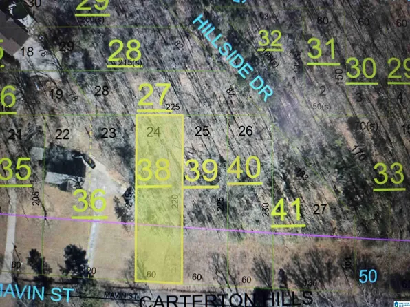 LOT 24 Mavin St, Oxford, AL 36203