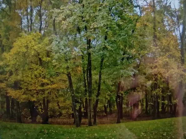 Jolley Way, Corning, NY 14830