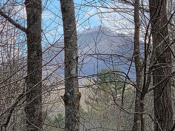 4th image of 0 Laurel Branch Rd