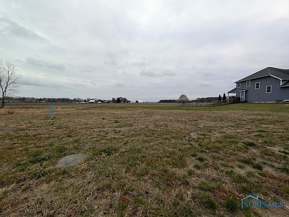 2nd image of LOT Thirty Savannah Lake Blvd