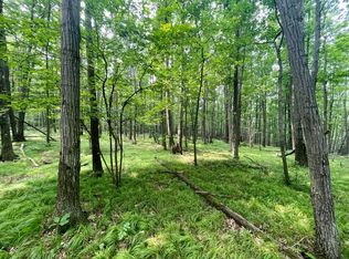 PARCEL Altay Rd #A, Rock Stream, NY 14878