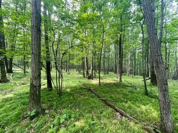 PARCEL Altay Rd #A, Rock Stream, NY 14878