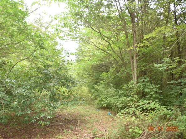 2750 Mountain Rd, Whitesburg, TN 37891