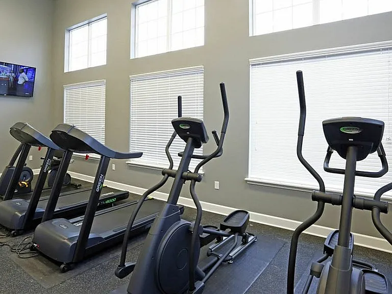 Get your miles in with a view and your favorite show_our treadmills and ellipticals come with built-in motivation.
