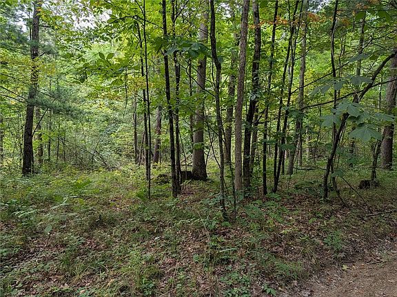 3rd image of Dug Rd Lot 8