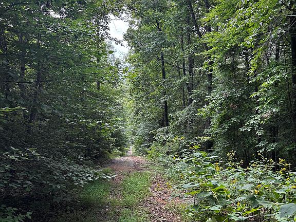 4th image of 0 Orme Mountain Rd