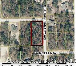 1st image of 11211 Mexican Canary Ave