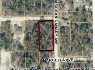 11211 Mexican Canary Ave, Weeki Wachee, FL 34614