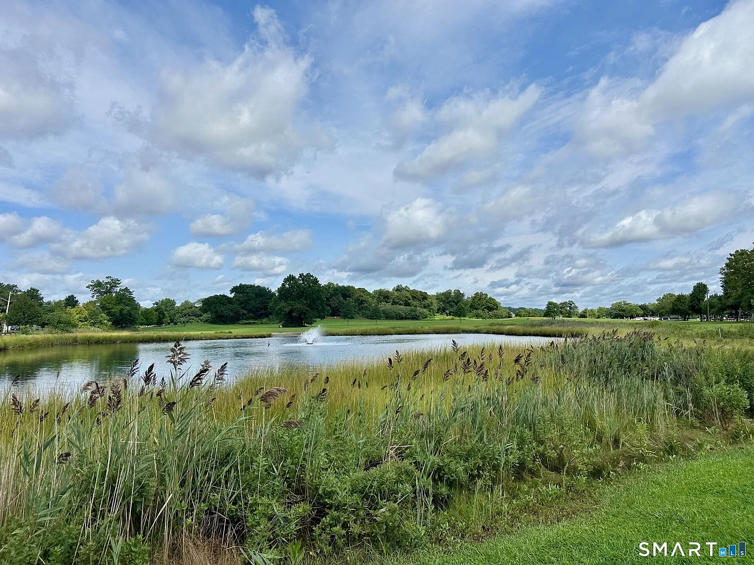 4 bed, 2.5 bath, 2400 sqft, $4,900 — Photo 4